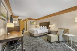 Whether for work or leisure, find your perfect stay here